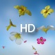 Flowers - VideoHive Item for Sale