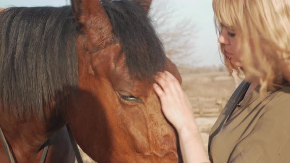 Beautiful Blonde Woman Hugs Horse Loves and Cares Pets Real Friendship and Mutual Understanding