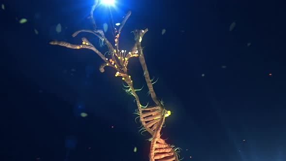 Human DNA Helix Forming a Tree