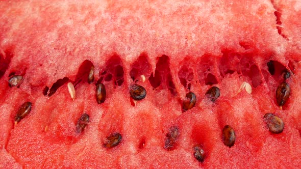 Watermelon Flesh