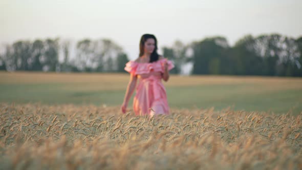 A Beautiful Woman in a Dress Walks Through a Wheat Field alt