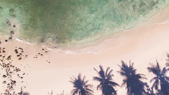 Coconut tree leaf shadows on sandy summer beach.