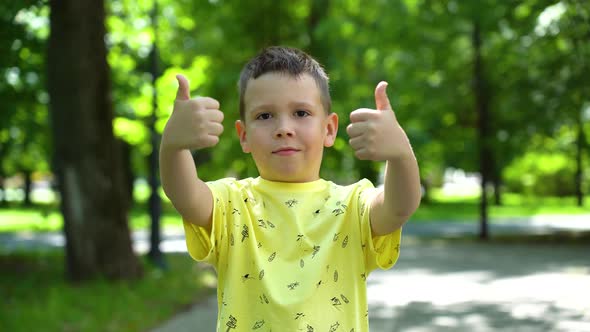 Caucasian boy showing class gestures on a sunny summer day in a green park under the trees. alt