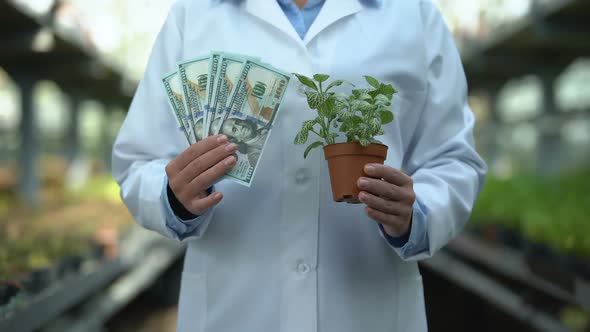 Scientist Holding Plant Seedling and Dollars, Investment in Agriculture Research