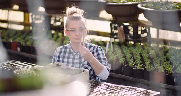 Botanist Examining Plants at Greenhouse alt