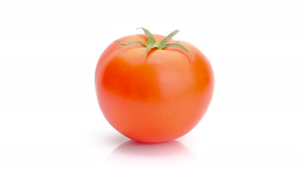 Tomato rotation isolated on white background, Close up