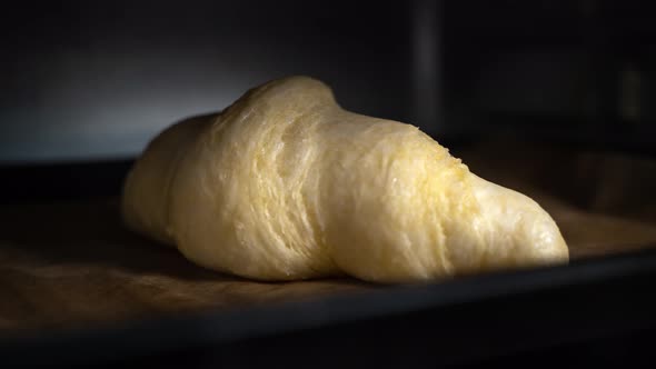 Croissants Baking Timelapse