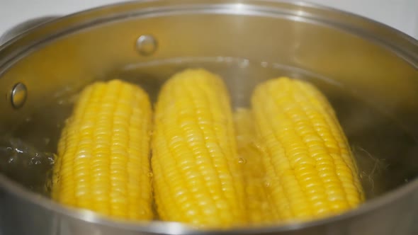 Water is Boiling in a Large Pot While Yellow Ripe Corn is Being Boiled alt
