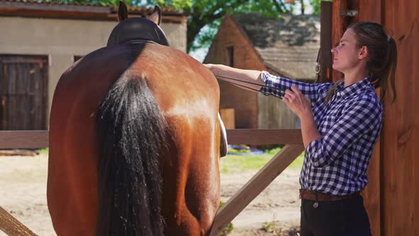 Horse Woman Preparing Her Horse For A Ride  Tying Up The Saddle  Back View alt