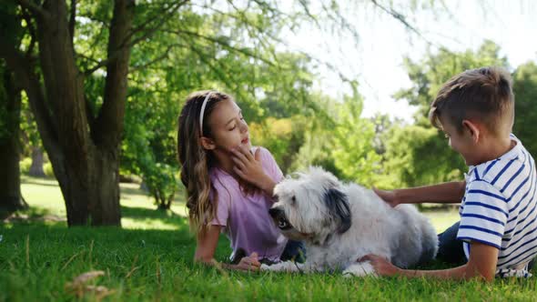 Siblings playing with their dog in the park alt
