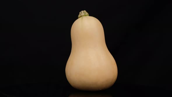 One Butternut Squash rotation isolated on black background, Close up.