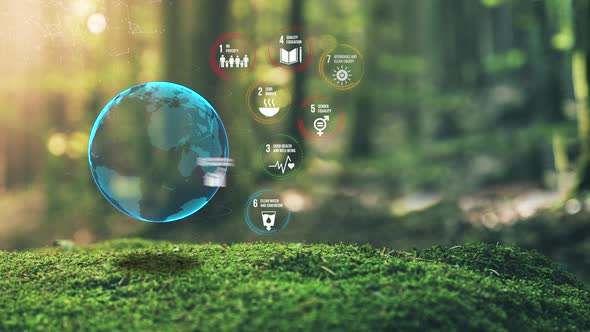 17 Global Goals Concept Earth Plexus Design In Moss Forrest Background Motion Graphic Animation