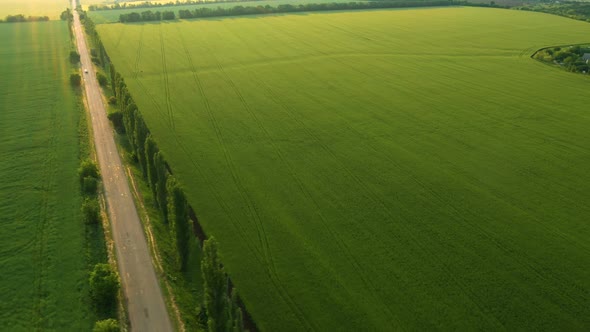 Aerial View Of Green Fields alt