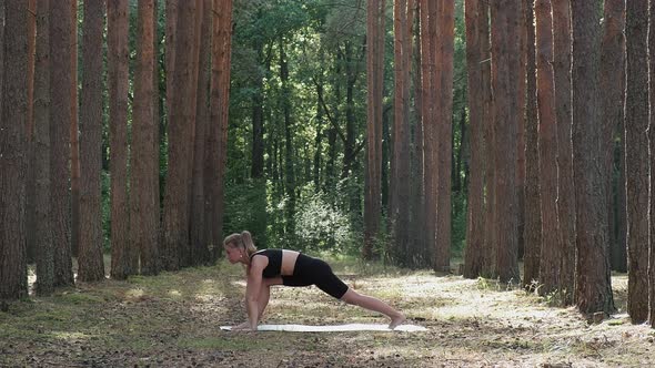 Flexible Fit Girl Practices Yoga Performs Surya Namaskar at Sunny Pine Forest