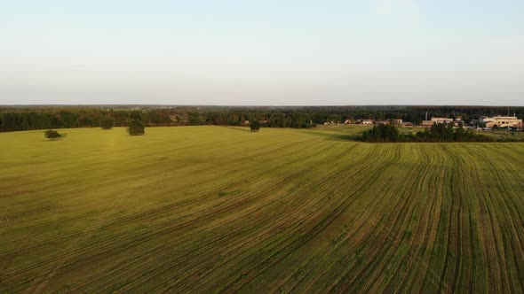 Beautiful Aerial Shot, Flying Over Yellow Country Field, Drone, Top View, Shot From Above, Sunset