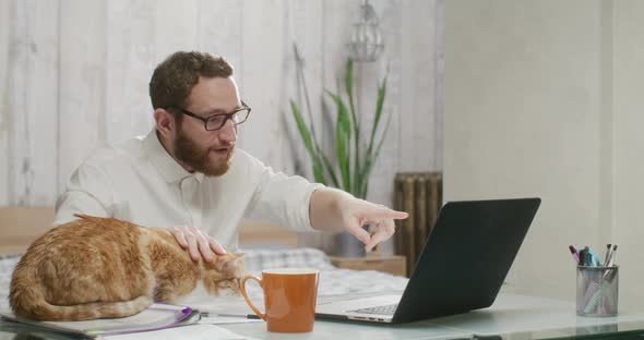 Handsome Man Works at a Computer with a Cute Ginger Cat