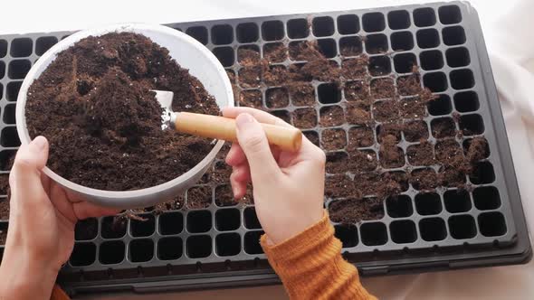 Female Farmer Pours Earth Into Cell Flower Pot