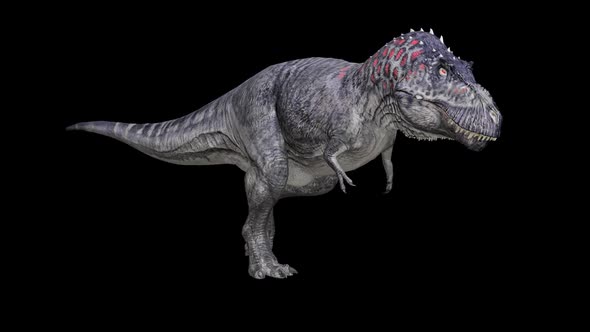 Dinosaur Walking 1 alt