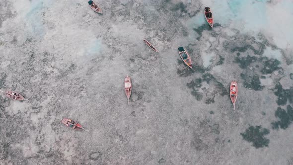 Lot Fishing Boats Stuck in Sand Off Coast at Low Tide Zanzibar Aerial View alt
