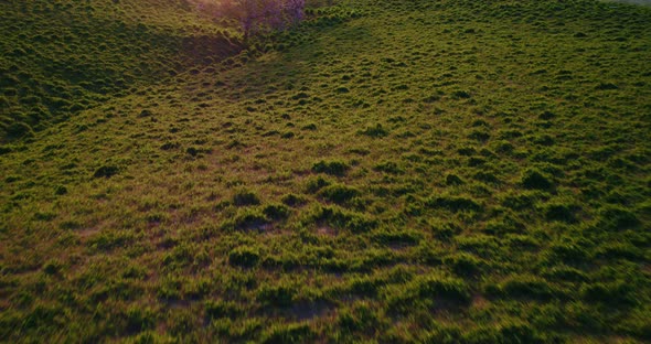 Aerial View of Beautiful Countryside at Sunset alt