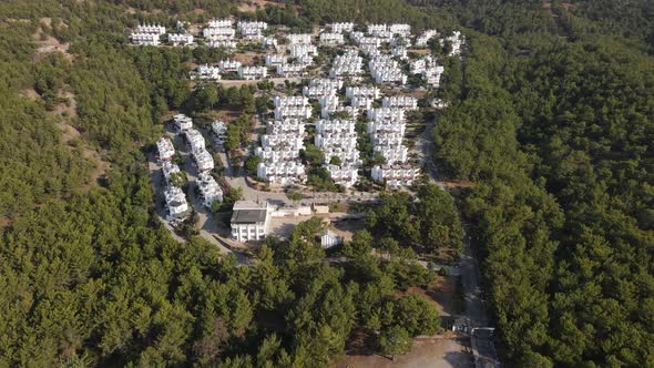 Architecture Forest Pine Aerial alt