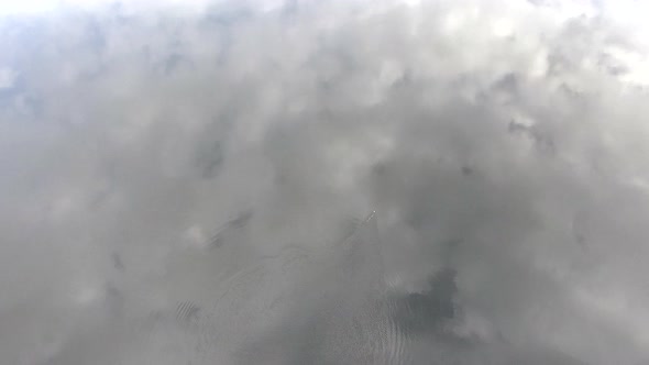 Hypnotizing drone video of a bird family swimming in calm lake by dawn. Clouds reflect very beautifu alt