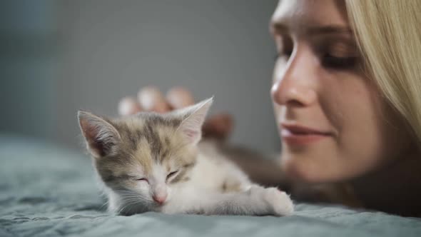The Pet Owner Kisses and Strokes a Little Sleepy Kitten Lying on the Bed
