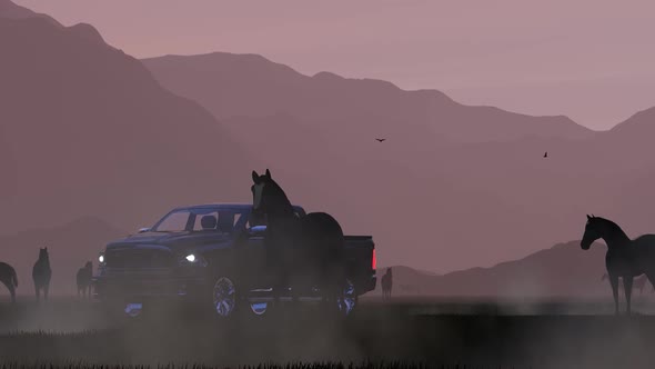 Black Shepherd Pickup Coming From Horses in Foggy Mountain Area Towards Evening