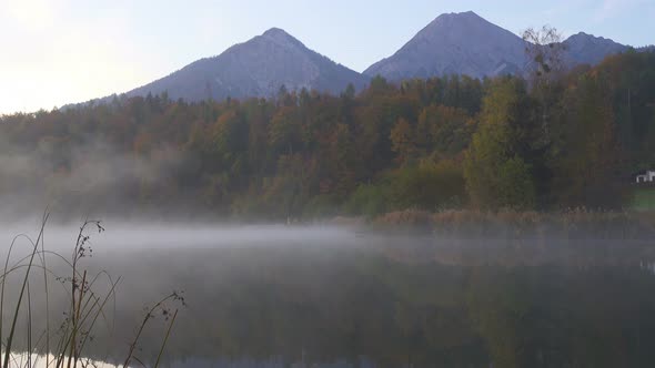 Quite Morning Foggy Lake 2 alt