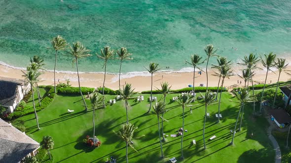 Tropical Nature Scenery with Lavish Green Palms and Scenic Blue Turquoise Ocean alt