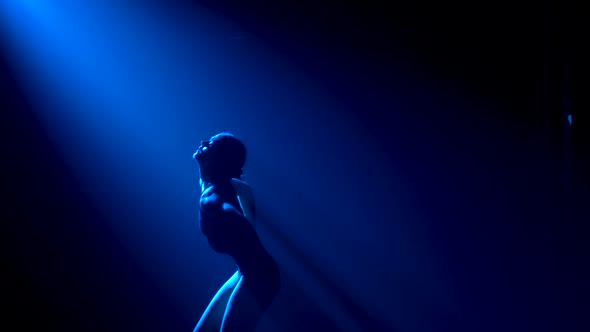 Silhouette a Young Flexible Ballerina in Black Bodysuit Graceful Dancing. Shot in a Darkness Under a alt