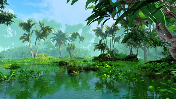 Tropical forest and swamp