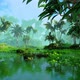 Tropical forest and swamp - VideoHive Item for Sale