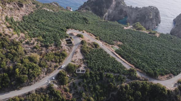 Top Down View Of Autumn Road Car At Autumn Day alt