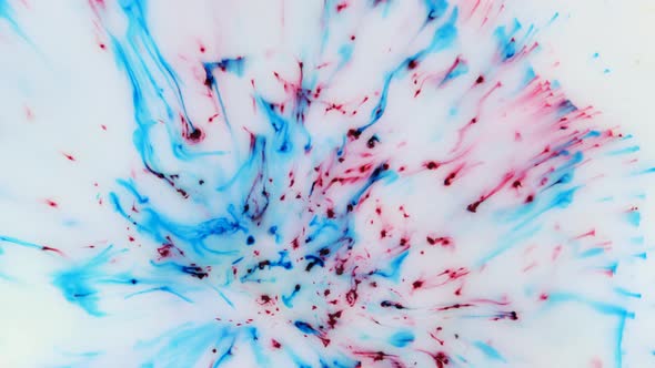 Colorful Streaks on a White Background alt