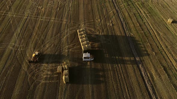 Hay Bales Harvester at work