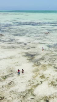 Vertical Video of Low Tide in the Ocean Near the Coast of Zanzibar Tanzania alt