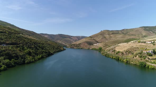 Vineyards Growing on Mountains of Douro Vallay Peso Da Regua Vila Real alt