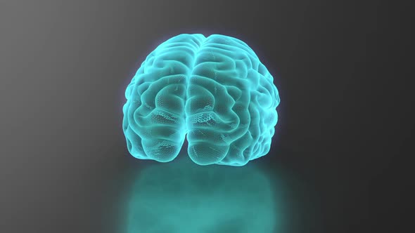 3D Digital Brain Animation With Alpha Channel