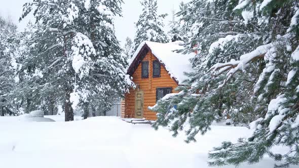 Rustic log house, snowy pine trees, big snowdrifts, slowly snowing.