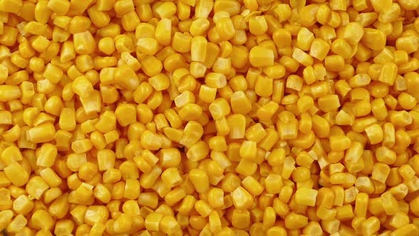 Sweetcorn Pile Rotating alt