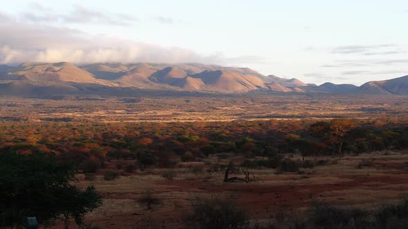 Savannah landscape in Tsavo Park, mountain and forest, Kenya, Slow motion alt
