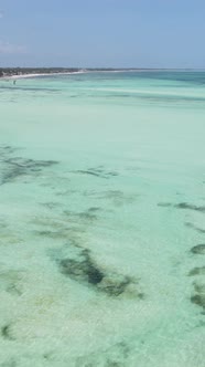Tanzania  Vertical Video of the Ocean Near the Coast of Zanzibar Slow Motion alt