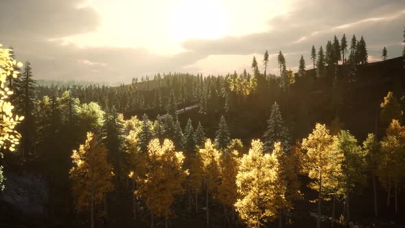 Sunrise in Autumn Forest alt