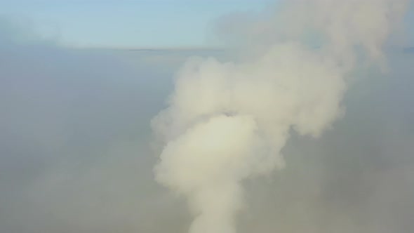 Smoke From a Power Station Chimney Rising From a Low Creeping Fog alt