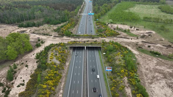 Ecoduct Ecopassage or Animal Bridge Crossing Over the A12 Highway in the Netherlands alt