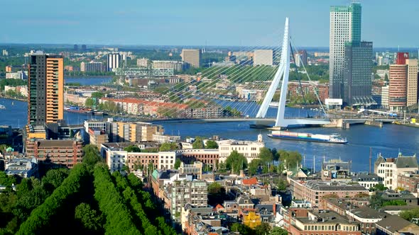 View of Rotterdam City and the Erasmus Bridge Erasmusbrug alt