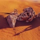 Old sculpture in the desert - VideoHive Item for Sale