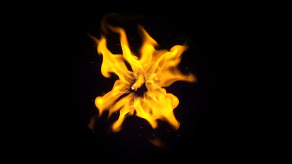 Fire Flower