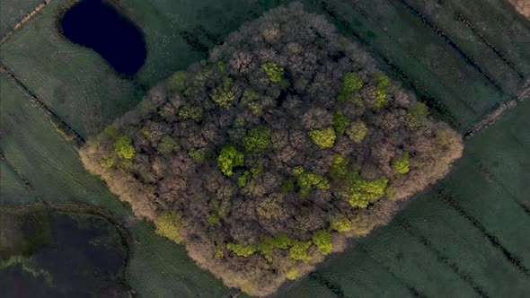 Aerial view of German countryside, Germany. alt